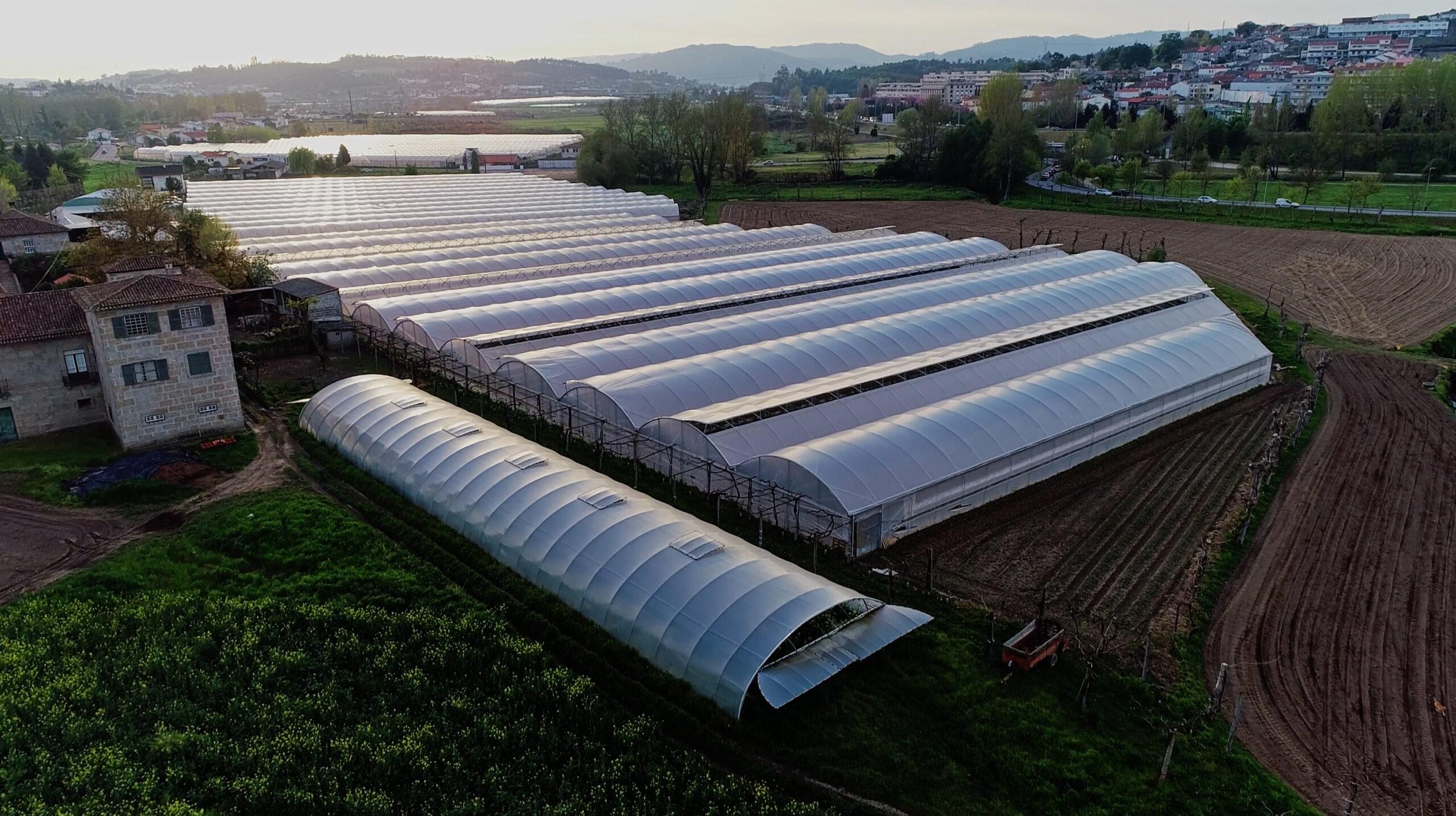 Blog: The Science Behind Controlled Environment Farming