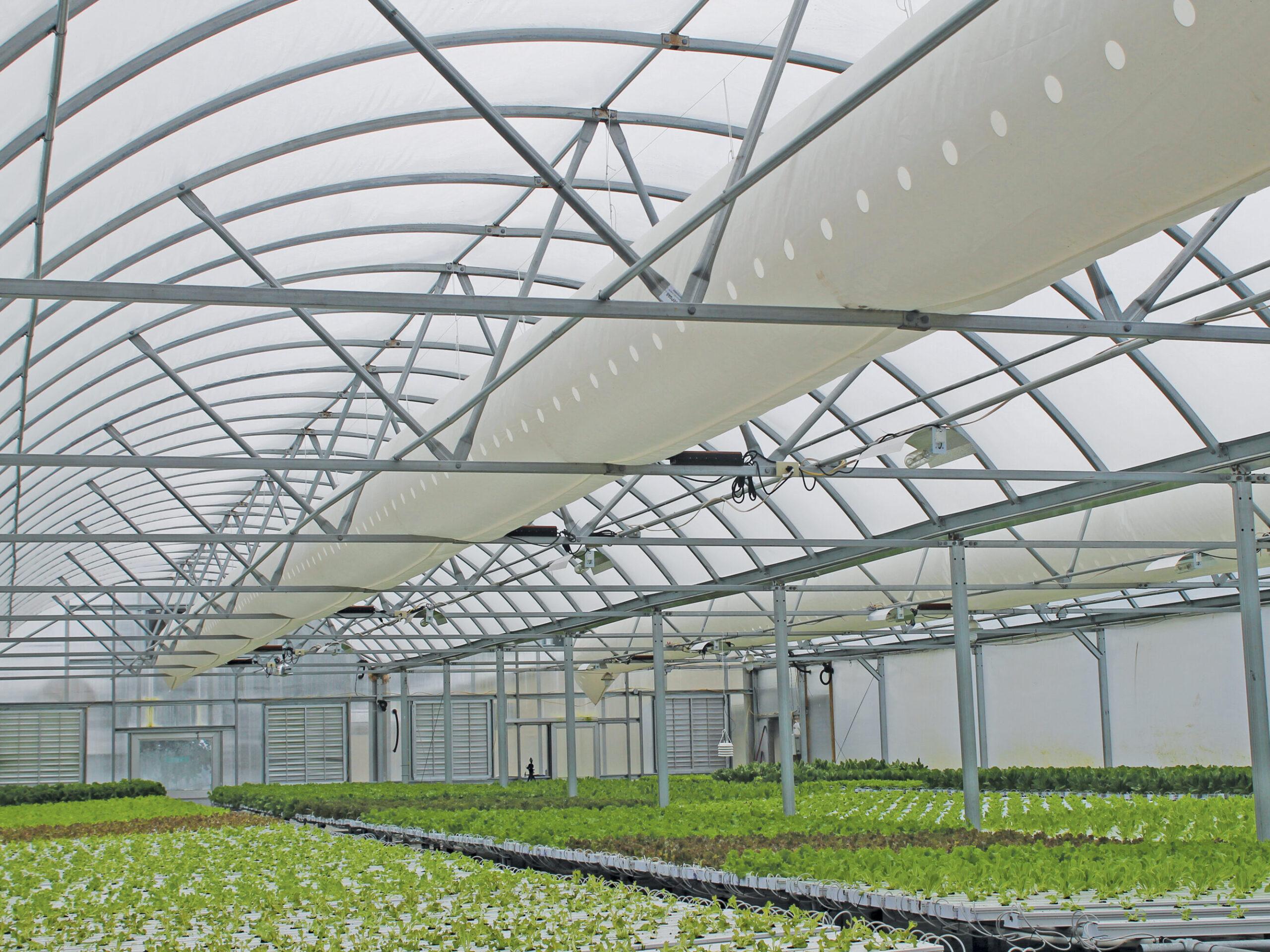 Luminexas Greenhouse Systems: Tailored Solutions for Crop Cultivation