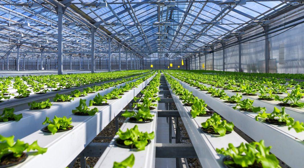 Maximizing Space: Exploring Vertical Farming Potential with Luminexas Insights
